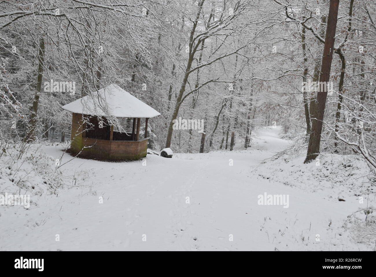 Une cabane en bois, un lieu de repos pendant la journée de la randonnée dans la forêt d'hiver au pied de la haute forêt dans la campagne de la Sarre. Banque D'Images