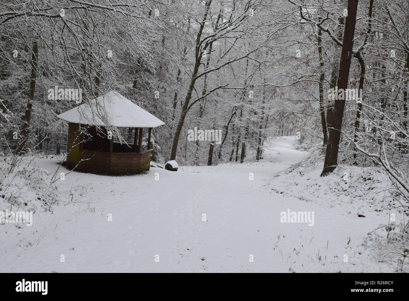 Une cabane en bois, un lieu de repos pendant la journée de la randonnée dans la forêt d'hiver au pied de la haute forêt dans la campagne de la Sarre. Banque D'Images