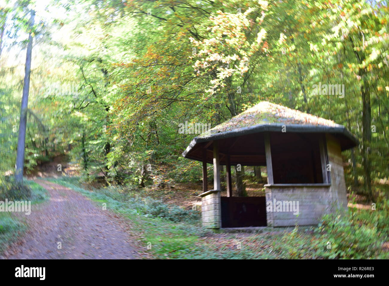 Une cabane en bois, un lieu de repos au cours de journée de randonnée dans la forêt d'automne au pied de la haute forêt dans la campagne de la Sarre. Banque D'Images