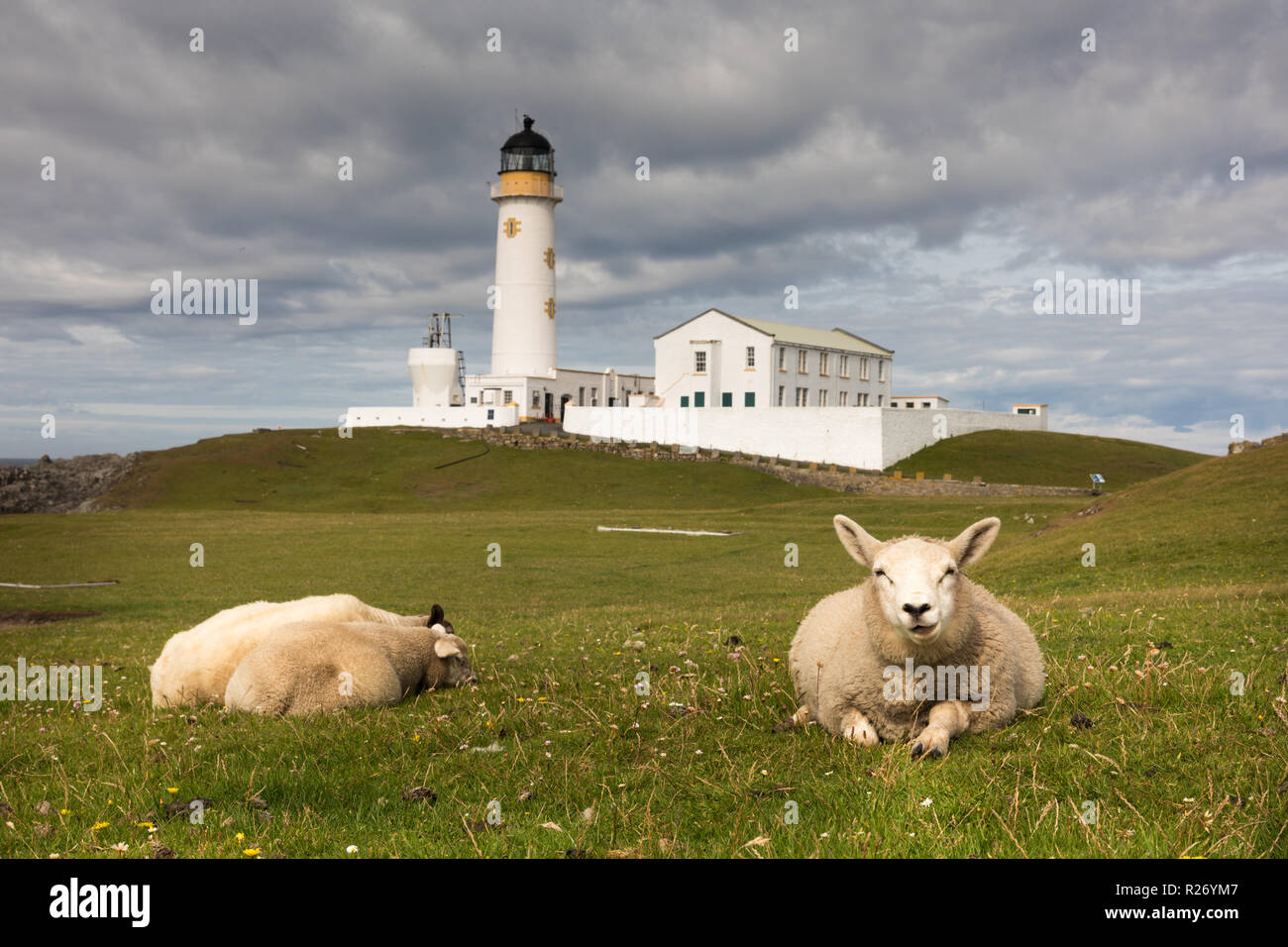 Phare du sud, Fair Isle Banque D'Images