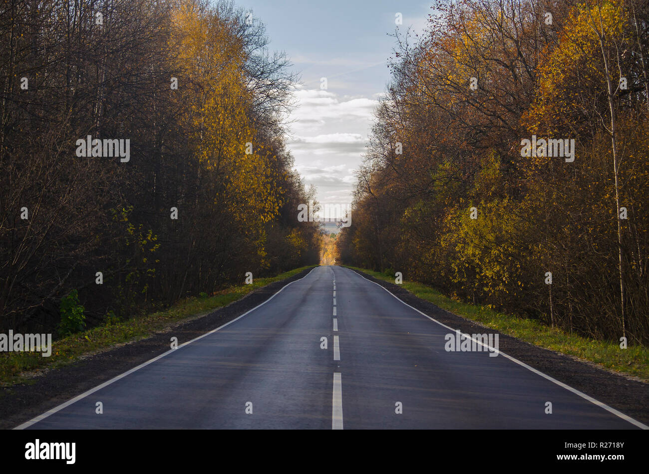 Paysage d'automne : une route droite s'étend dans la distance. Sur les côtés de la forêt. Banque D'Images