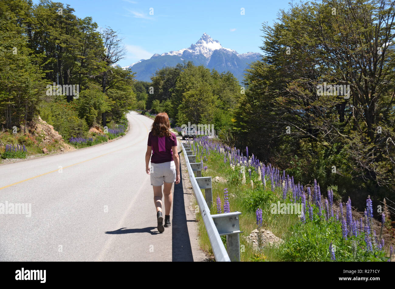 Conduire la Carretera Austral, Josianne Quelat, Chili Banque D'Images