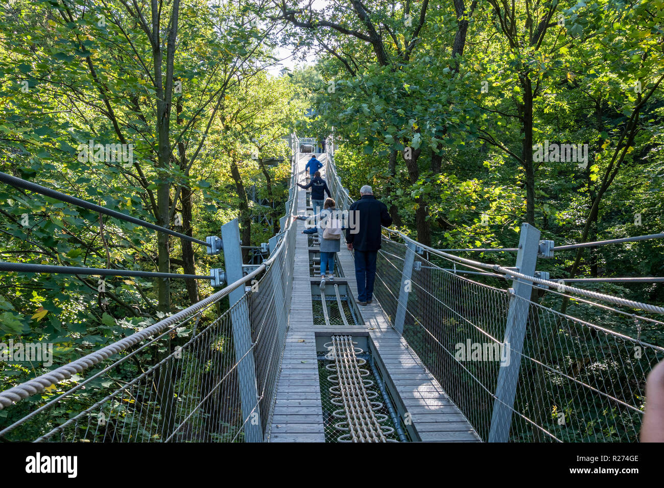 Baumwipfelpfad', 'Treetop walkway à travers une forêt en automne, Bad Harzburg, chaîne de montagnes du Harz, Basse-Saxe, Allemagne Banque D'Images Baumwipfelpfad', 'Treetop walkway à travers une forêt en automne, Bad Harzburg, chaîne de montagnes du Harz, Basse-Saxe, Allemagne Banque D'Images