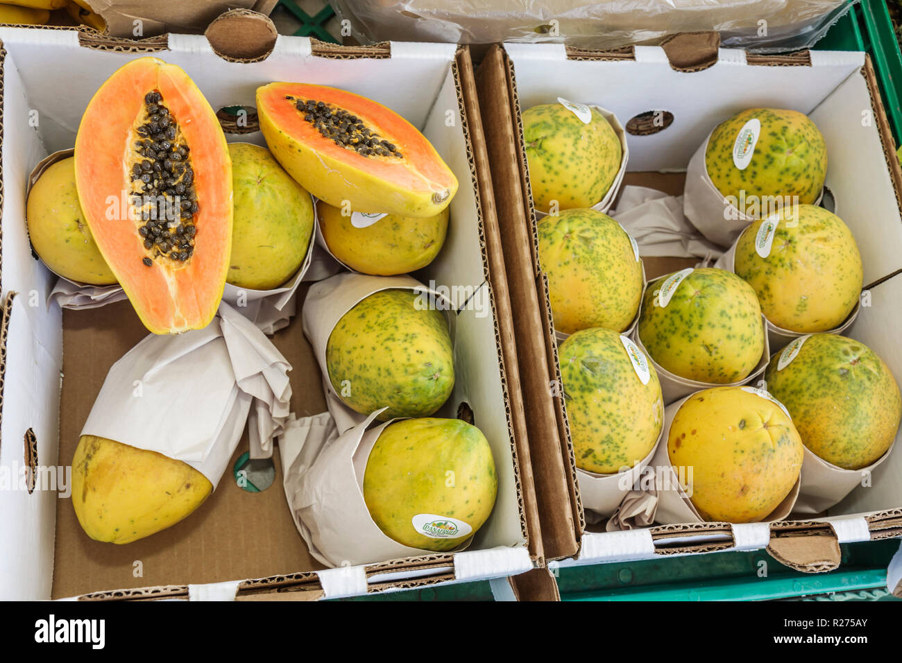 Miami Florida,Legion Park,Upper Eastside Green Market,Farmer's,Farmers Market,fruit,fournisseur vendeurs stall stands stand marché, acheteur achat Banque D'Images