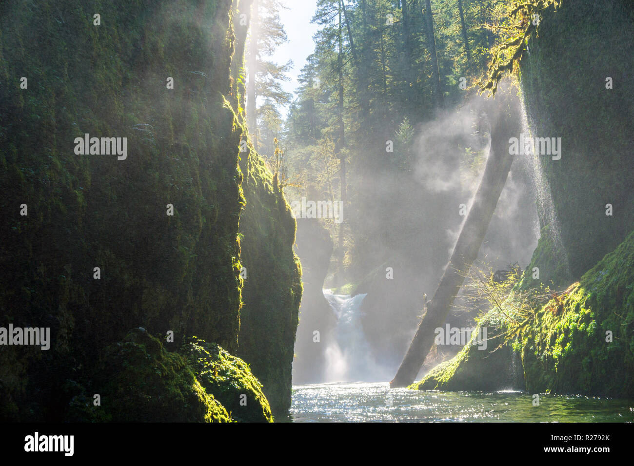 Columbia River Gorge - Hood River, Oregon. Soleil brille sur petite chute d'eau et de la forêt Banque D'Images