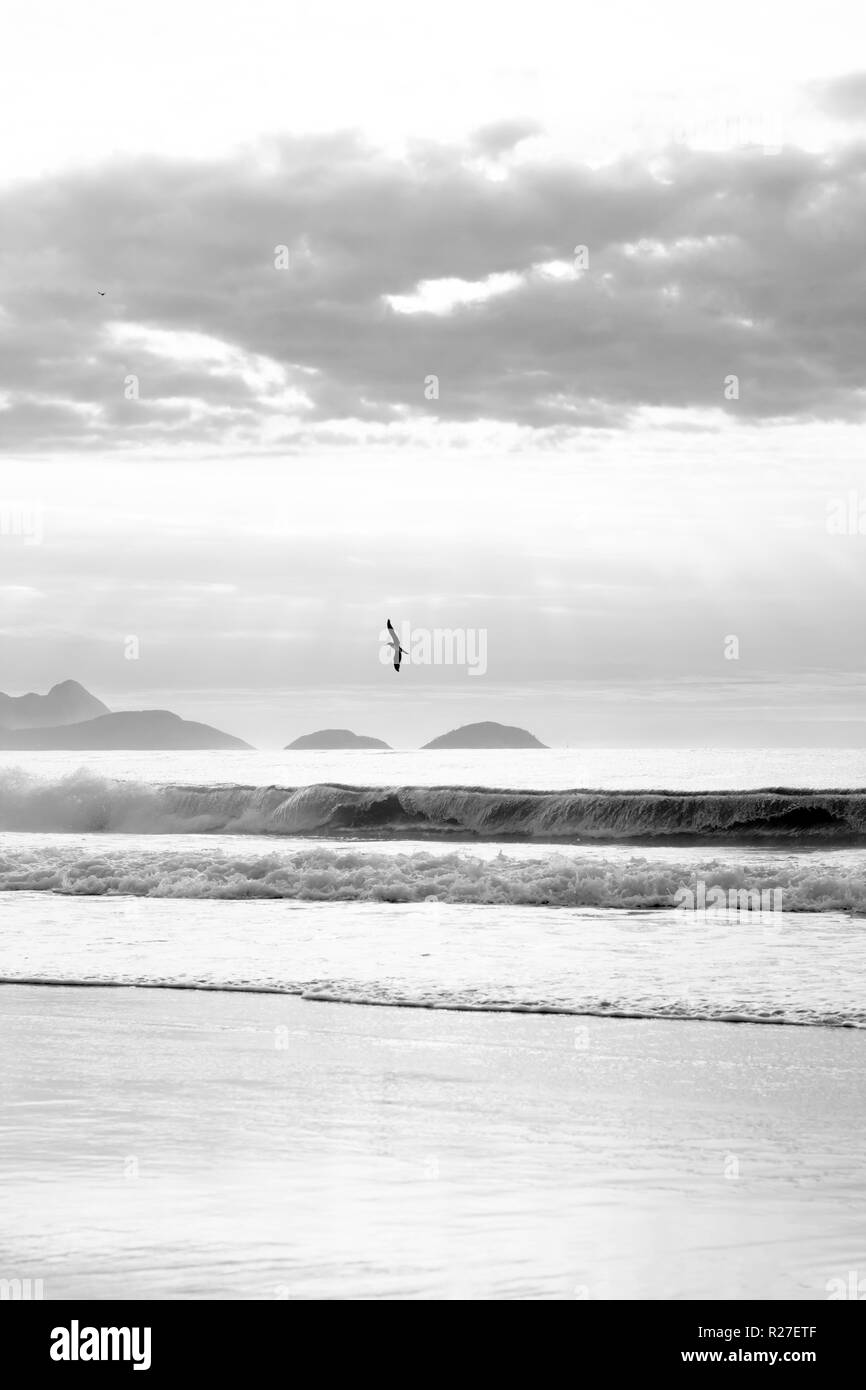 Bird flying sous la plage d'Ipanema à jour avec des vagues photo en noir et blanc Banque D'Images
