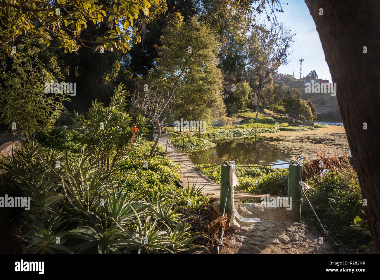 Sausalito Lagoon Park - Vina del Mar, Chili Banque D'Images