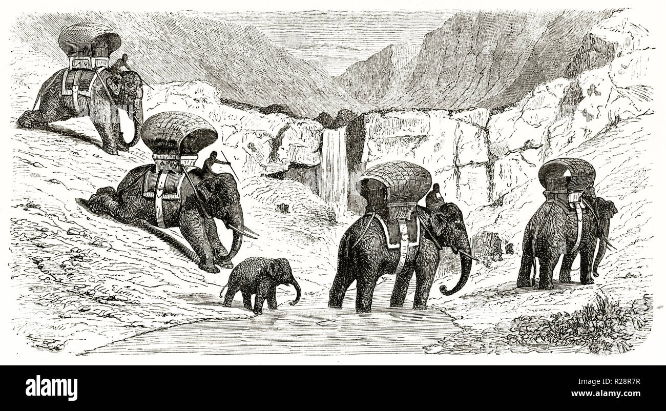 Vieille illustration caravane d'éléphants au Laos les montagnes. Par Mohout après Bocourt, publ. sur le Tour du Monde, Paris, 1863 Banque D'Images