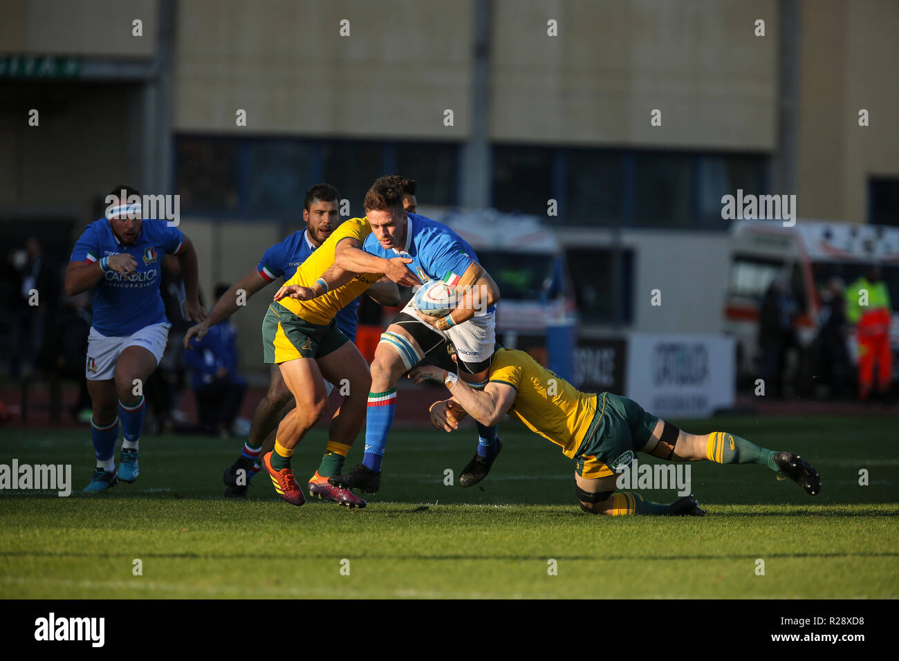 Padoue, Stadio Euganeo, Italie. 17 novembre, 2018. L'Italie n8 Abraham Steyn porte le ballon dans le match contre l'Australie en novembre Cattolica Test Match 2018. Credit : Massimiliano Carnabuc/Pacific Press/Alamy Live News Banque D'Images