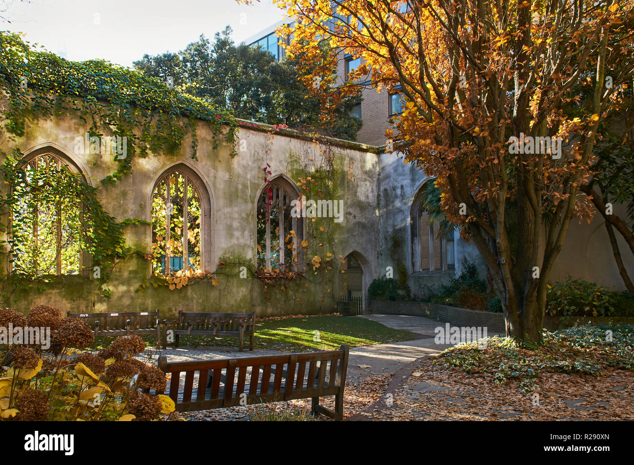 Jardins dans les ruines de St Dunstan dans l'église de l'Est, dans la ville de London, UK Banque D'Images