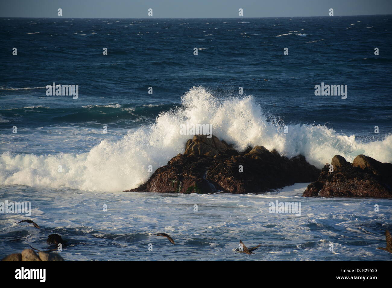 Monterey, Californie. Les vagues de l'après-midi. Banque D'Images