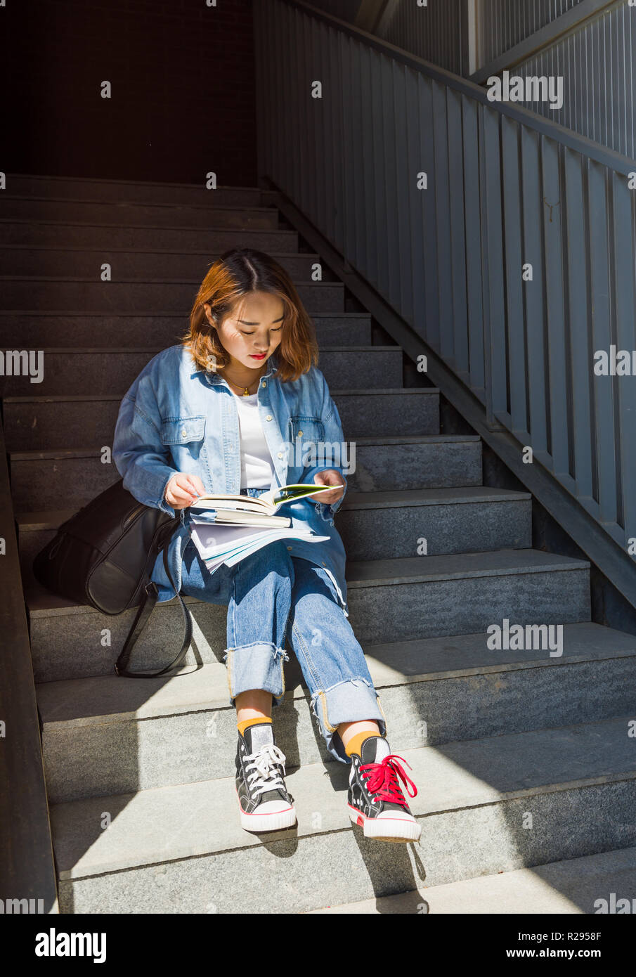 Young woman reading book Banque D'Images