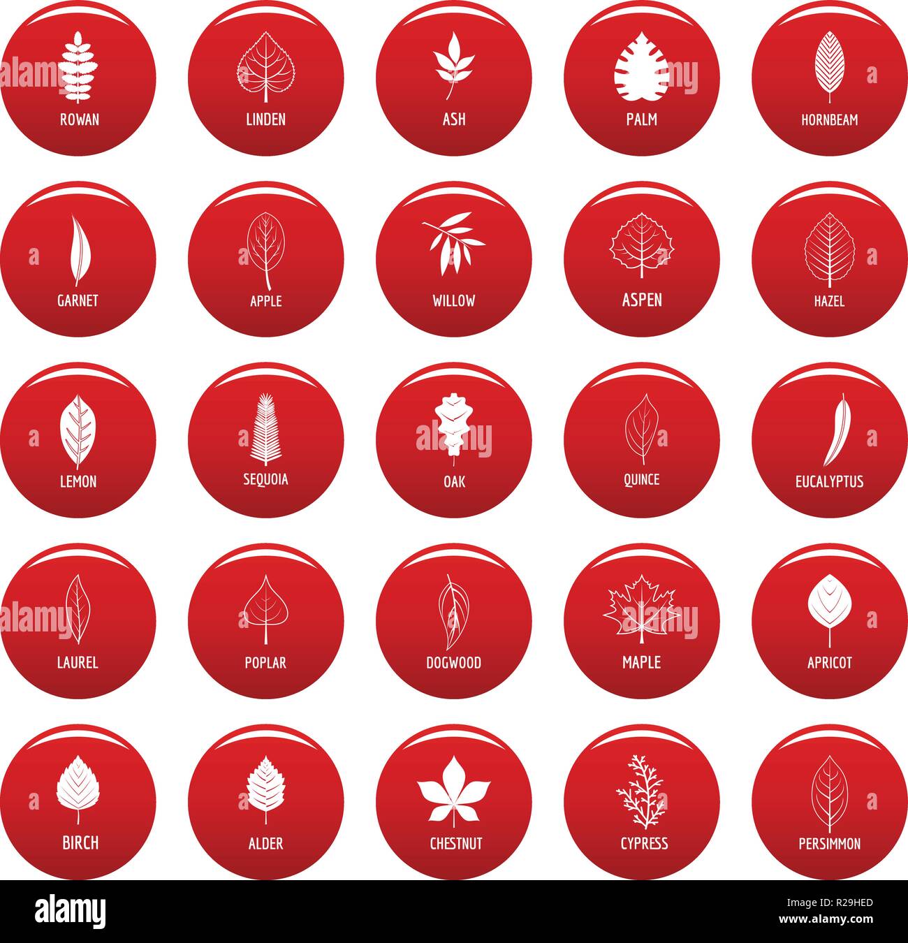 Leaf icons set. Illustration simple de 25 icônes vectorielles des feuilles isolées rouge Illustration de Vecteur