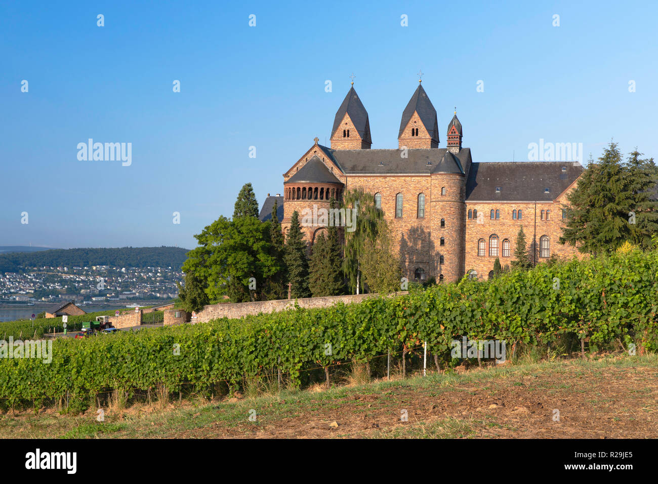 L'Abbaye de Sainte Hildegarde et vignobles, Rudesheim, Rhénanie-Palatinat, Allemagne Banque D'Images