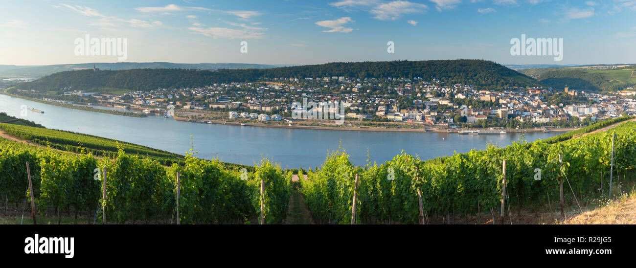 Avis de Bingen et Rhin, Rudesheim, Rhénanie-Palatinat, Allemagne Banque D'Images