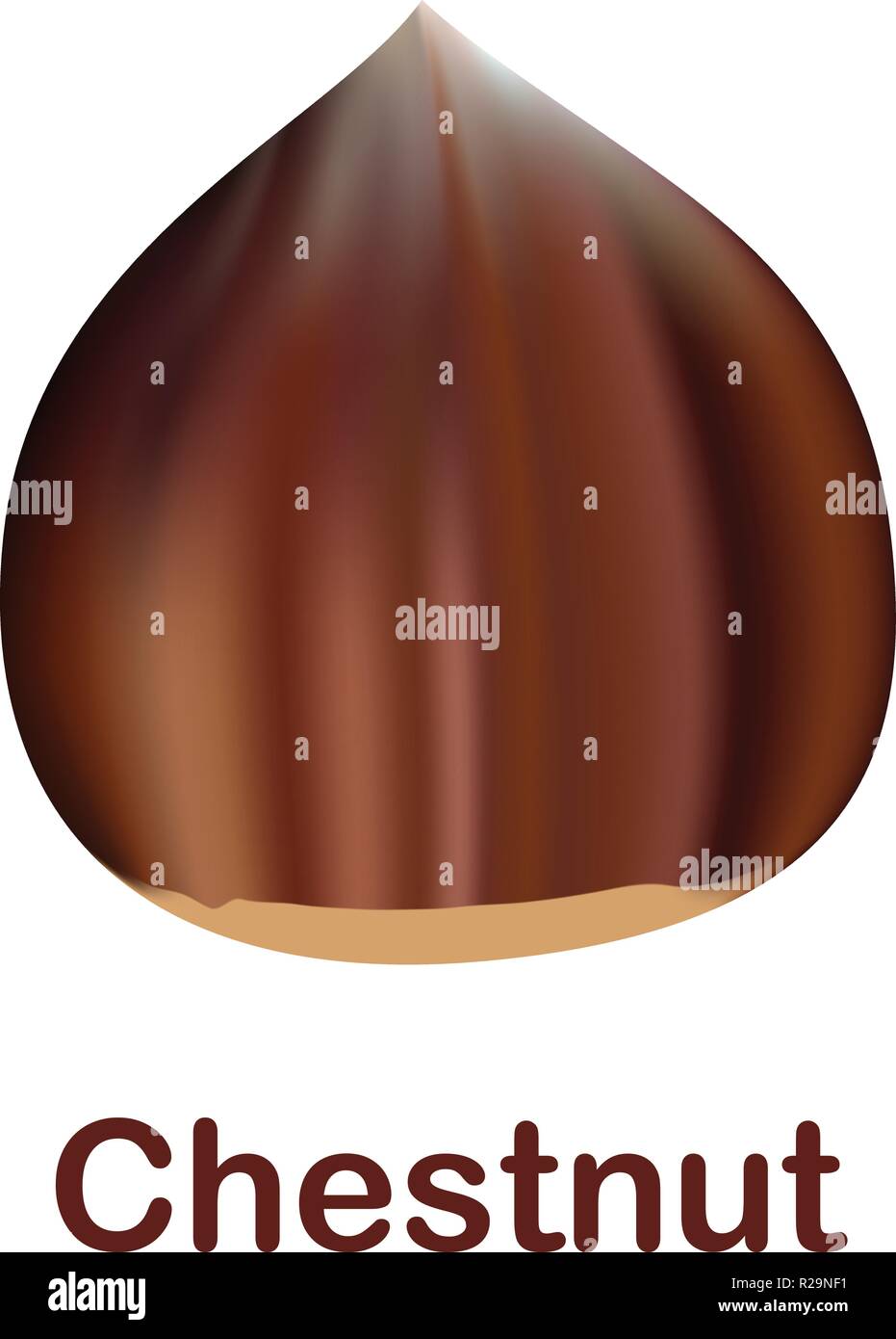L'icône de la châtaigne. Illustration réaliste de l'icône vecteur pour la conception web isolé sur fond blanc Illustration de Vecteur