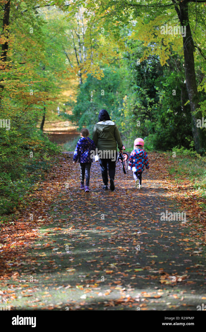 Femme dame marcher avec les enfants le long du chemin d'automne dans le parc national de Killarney, comté de Kerry, Irlande Banque D'Images