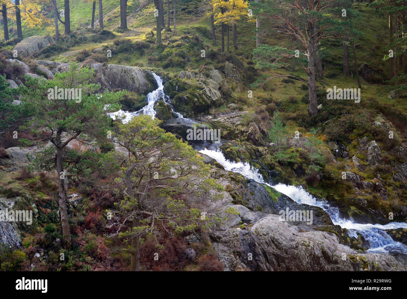 Ogwen Falls est l'endroit où la rivière Ogwen commence son voyage de Llyn Ogwen Nant Ffrancon valley dans la région de Snowdonia, le Nord du Pays de Galles. Banque D'Images