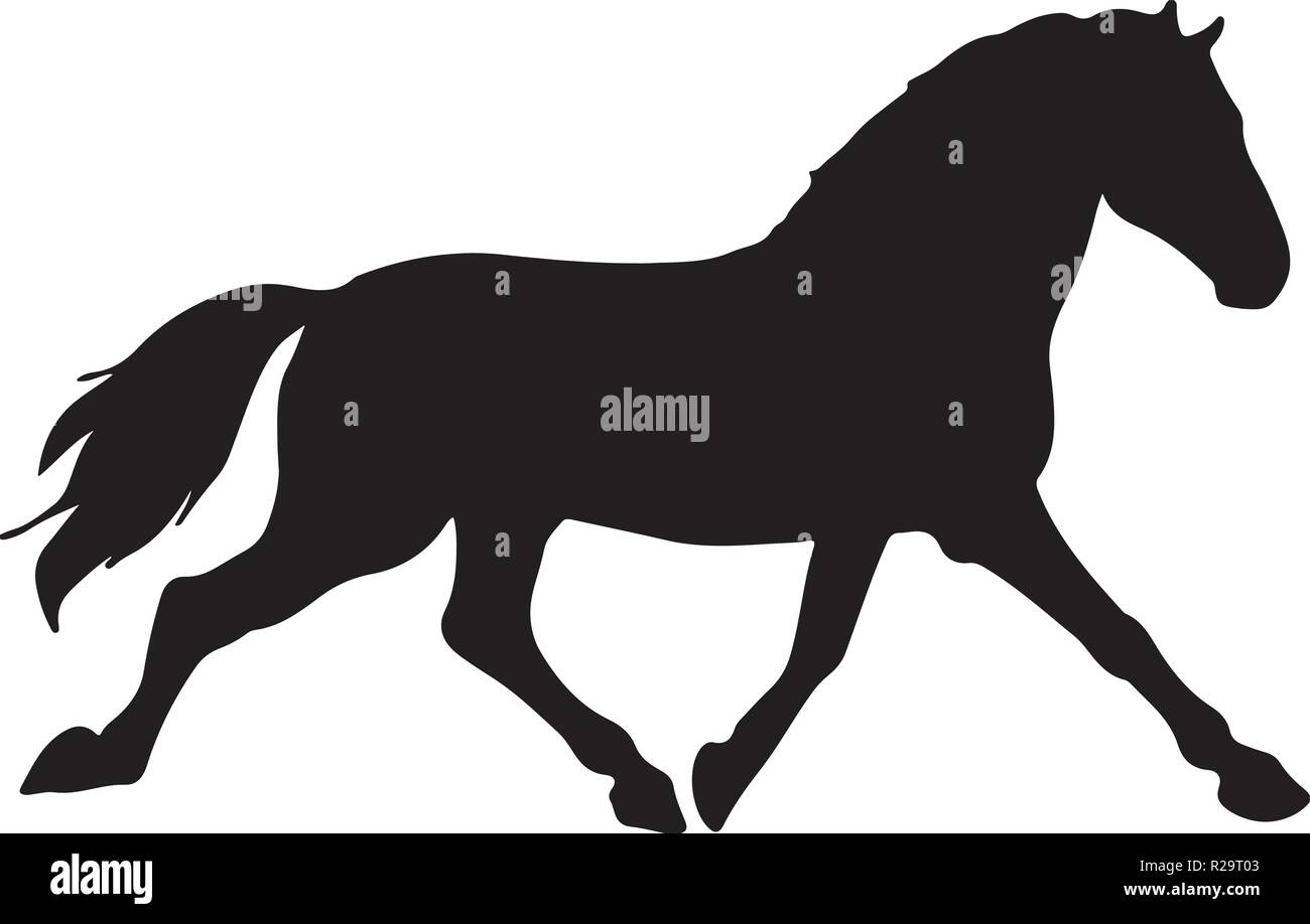 L'élevage de chevaux de vecteur fine silhouette et contours - graceful étalons noirs contre white Illustration de Vecteur