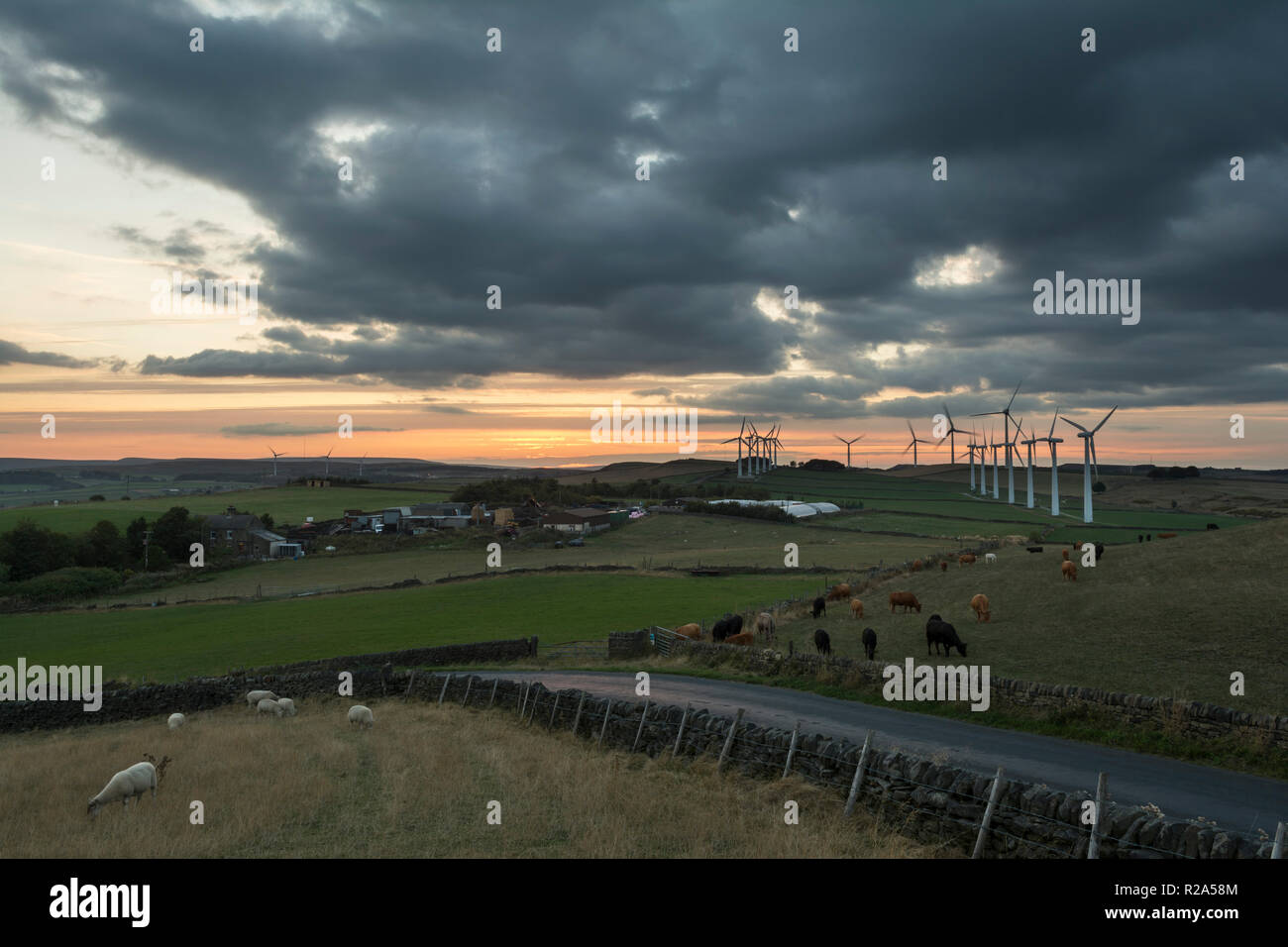 Royd Moor Wind Farm, nr vert Millhouse, Barnsley, UK Banque D'Images