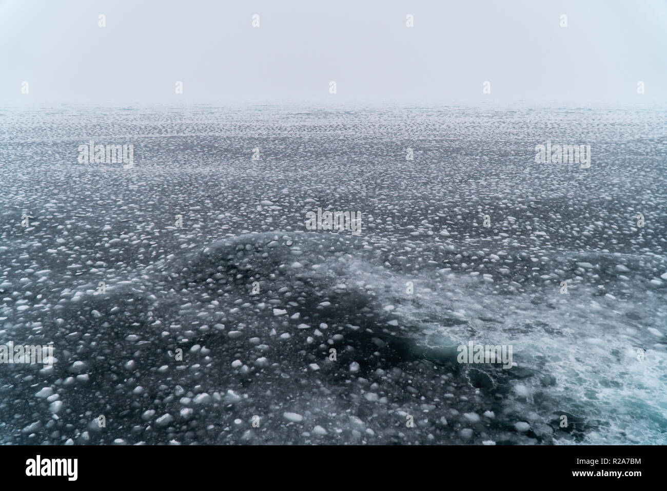 La glace de mer arctique à Svalbard, Norvège en juin Banque D'Images