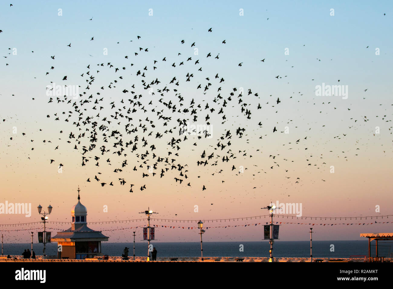 Lancashire, Royaume-Uni.18 novembre 2018.Le ciel s'assombrit au-dessus de Blackpool tandis que des dizaines de milliers de Starlings se rassemblent au-dessus de North Pier.On estime que 20,000 oiseaux qui rôdent naquellent et qu'ils se positionnent pour choisir le meilleur endroit pour survivre au froid sur la côte de Fylde; décrit comme la dernière danse avant le lit, la raison de l'envol, de la torsion et de la tortillonnage reste en grande partie un mystère.© MediaWorldImages/Alamy Live News Banque D'Images