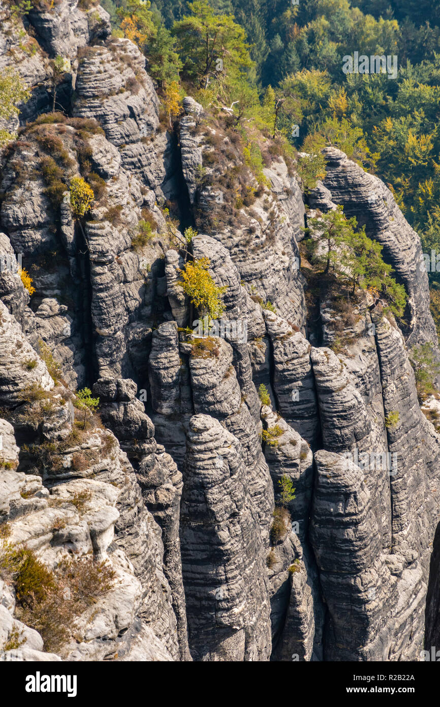 Les tours de grès dans le Parc National de la Suisse saxonne en automne, Allemagne Banque D'Images