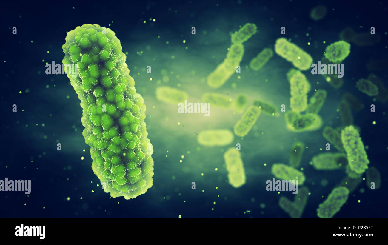 Bactéries pathogènes , Germ infection et maladie bactérienne épidémique Banque D'Images