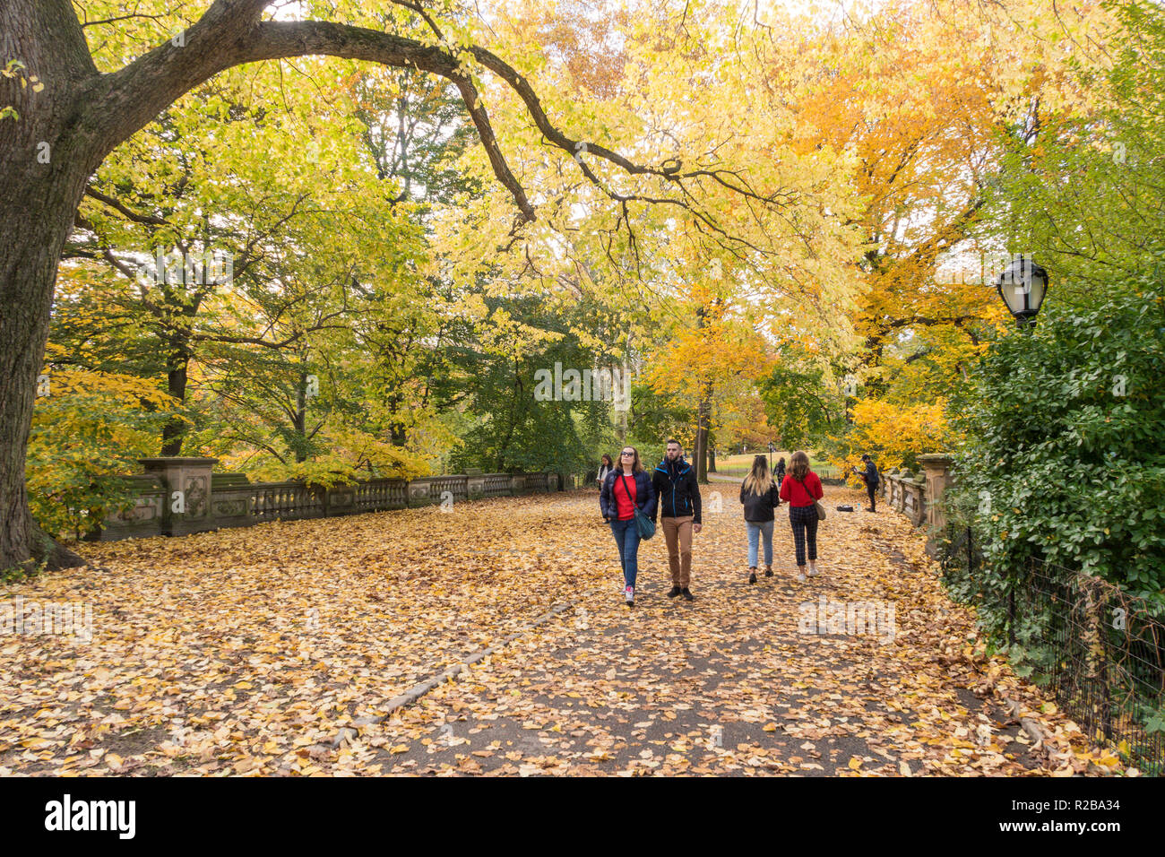 Central Park est une oasis dans la ville de New York, USA Banque D'Images