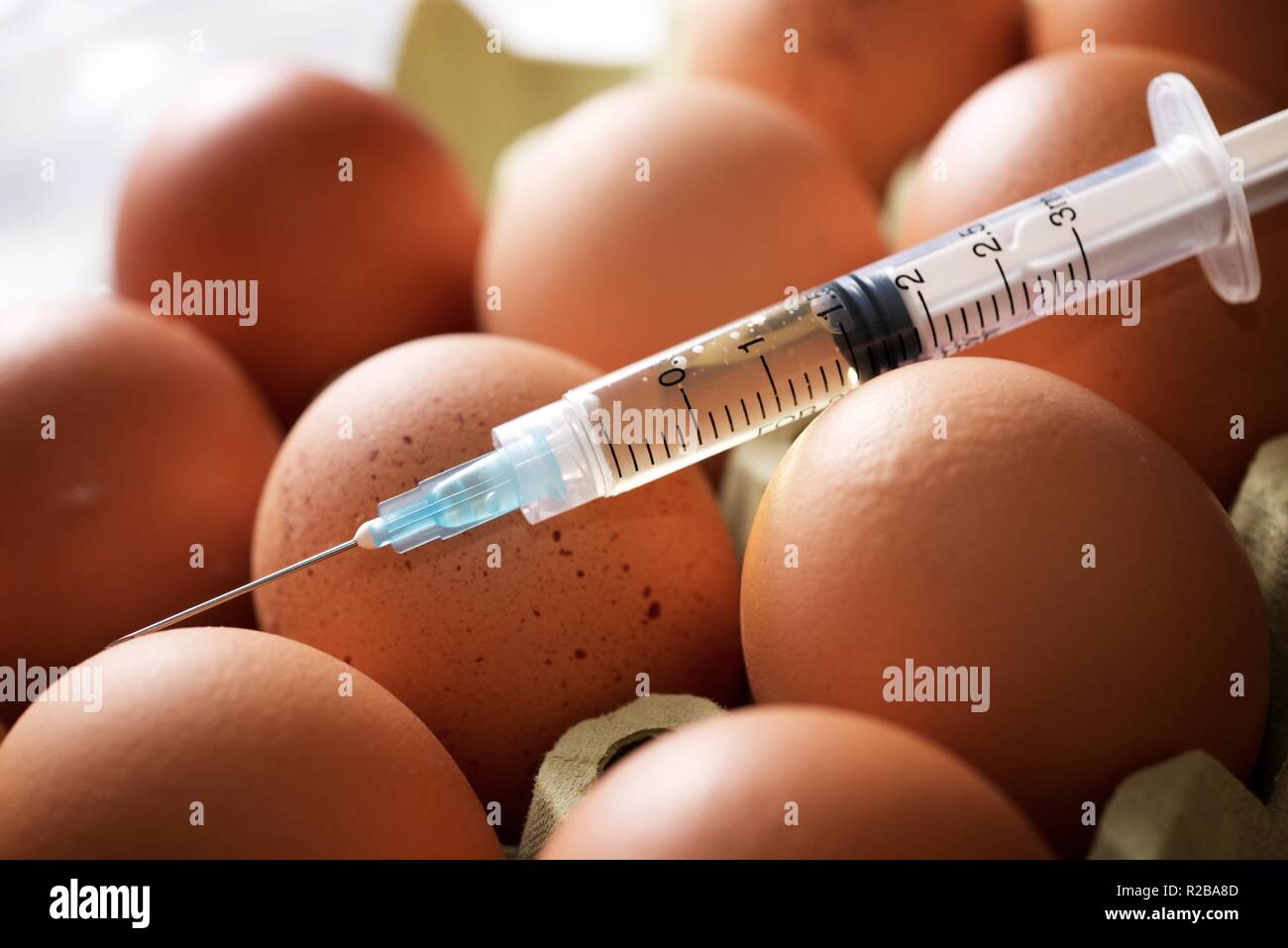 La manipulation de l'hormone avec la seringue d'oeufs. Banque D'Images