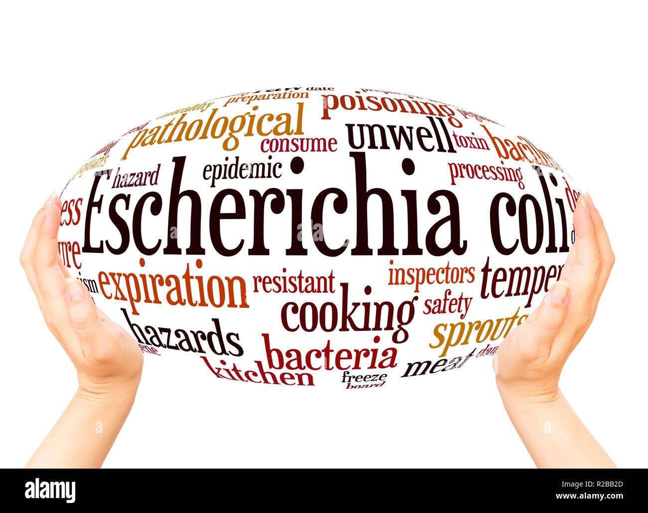 Escherichia coli, nuage de mots main concept de sphère sur fond blanc. Banque D'Images