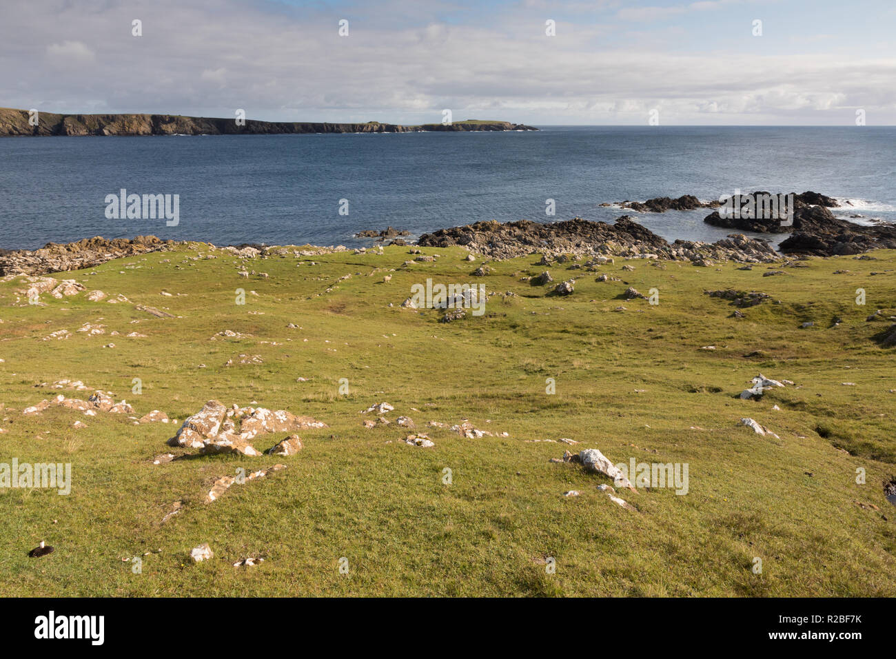 Paysage, Ness d'Hagmark, Unst, Shetland, UK Banque D'Images