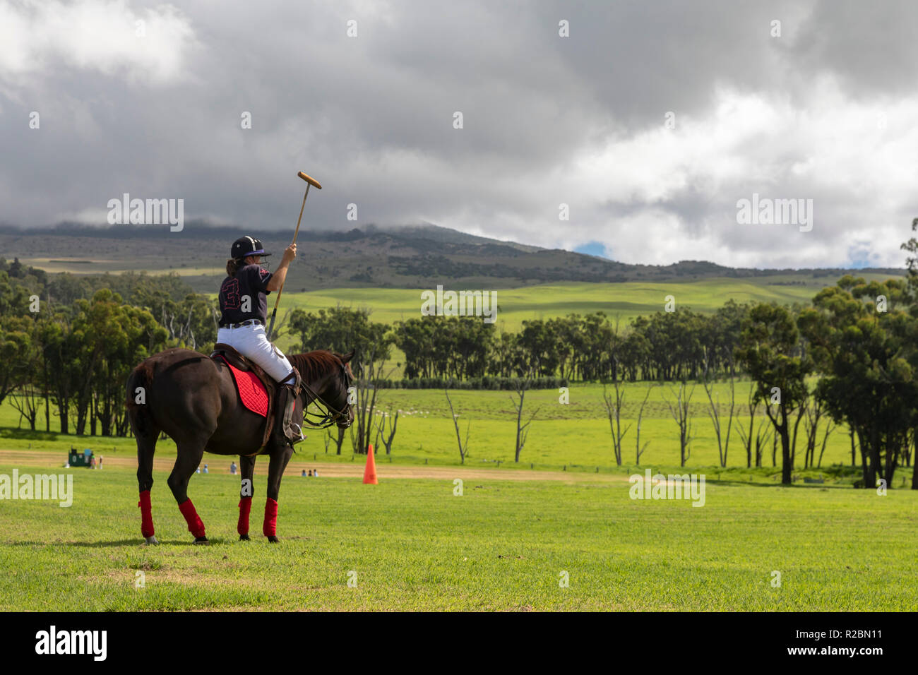 Waikii, New York - un joueur avant le début d'un match au Mauna Kea Polo Club. Le club joue le dimanche après-midi sur les pentes de la v Banque D'Images