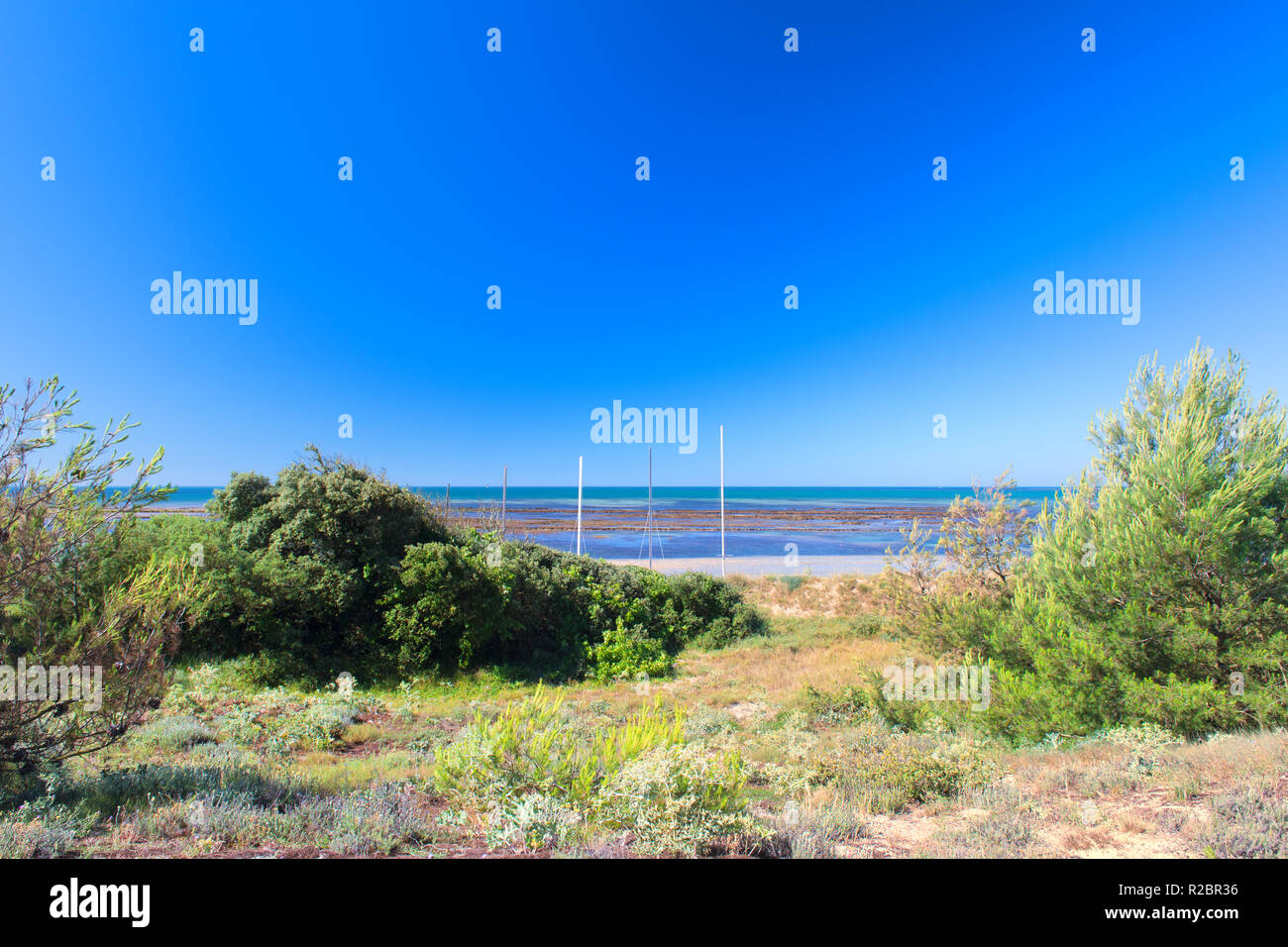 L'Ile de rée- paysage plage sable et mer avec des voiliers à l'horizon Banque D'Images