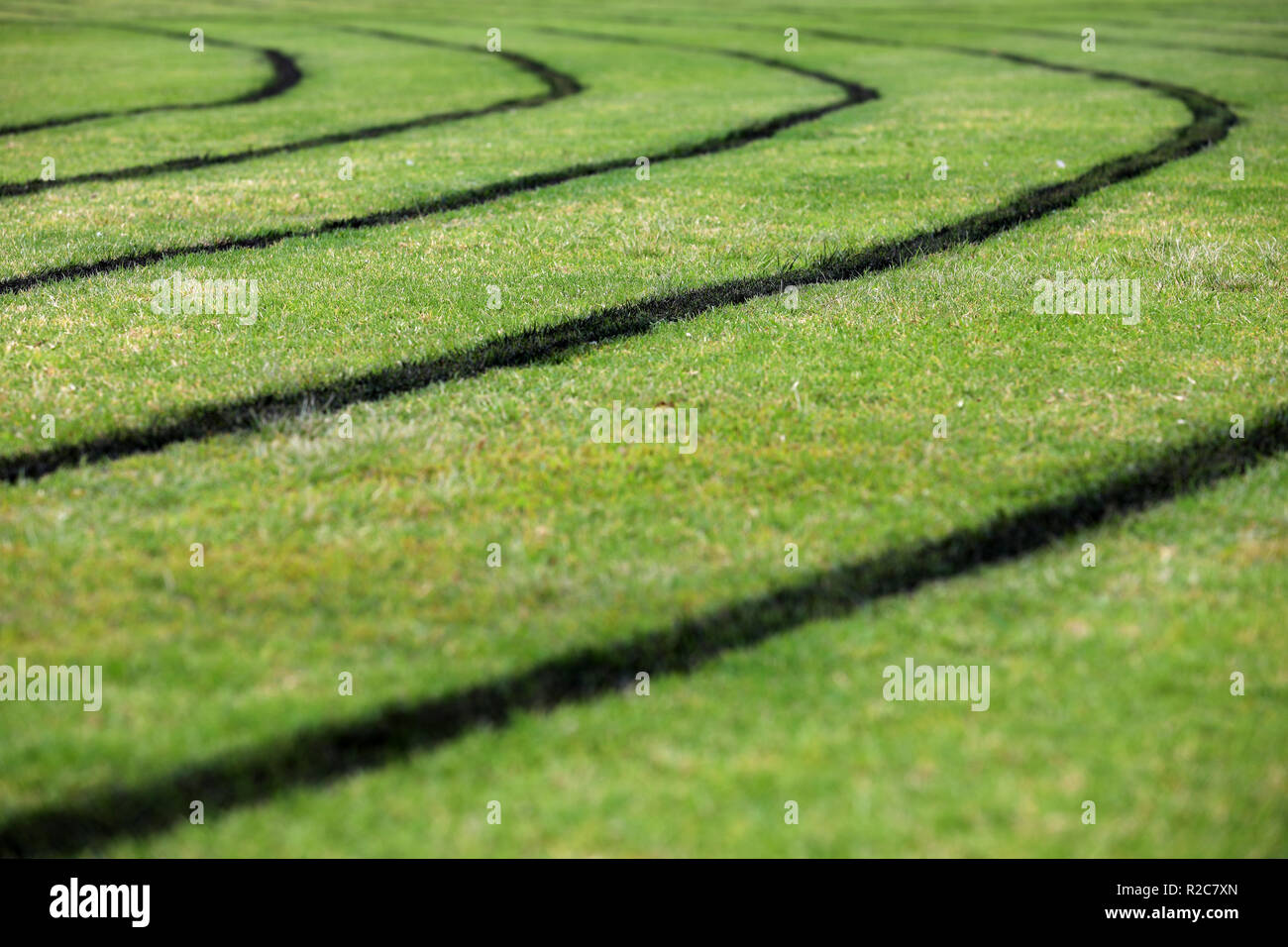 Low angle view of fraîchement peint de marquage au sol noir de points pour un conseil local d'une piste de course athlétique. L'herbe verte luxuriante terrain de sport en bon état Banque D'Images