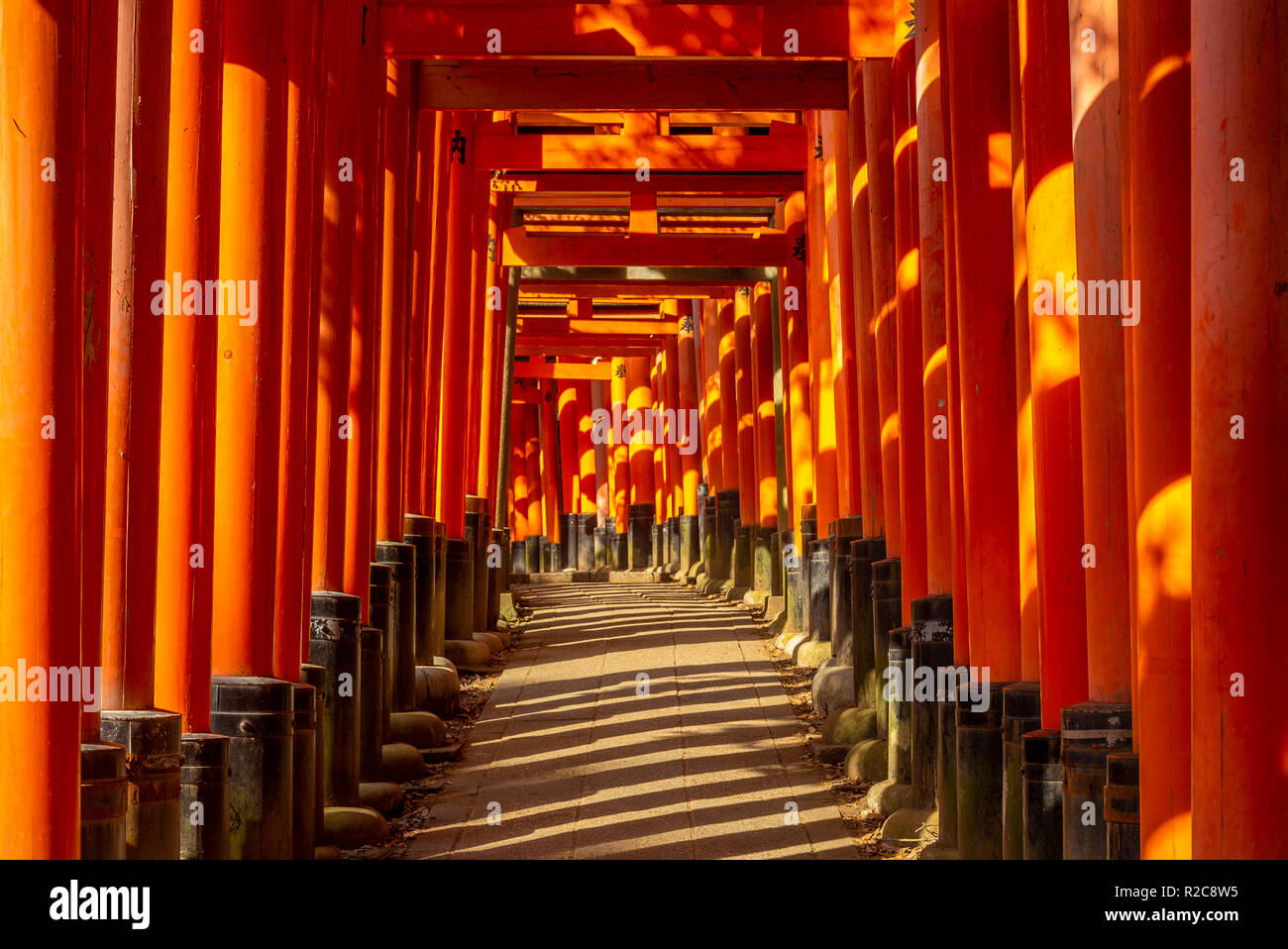 Torii en chemin Fushimi Inari-taisha, Kyoto, Japon Banque D'Images