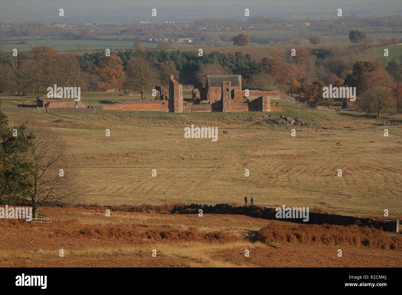Bradgate Park, Leicestershire, UK Banque D'Images
