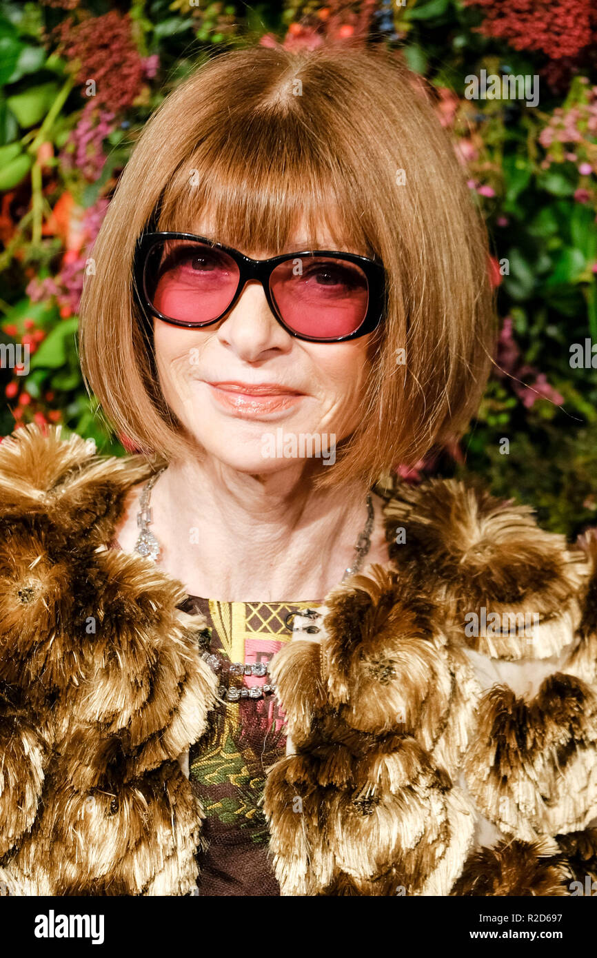 Londres, Royaume-Uni. 18 Nov, 2018. Rédacteur en chef du Vogue US, Anna Wintour au 64ème Evening Standard Theatre Awards 2018 le dimanche 18 novembre 2018 tenue au Theatre Royal Drury Lane, London. Sur la photo : Dame Anna Wintour, Anna Wintour. Credit : Julie Edwards/Alamy Live News Banque D'Images