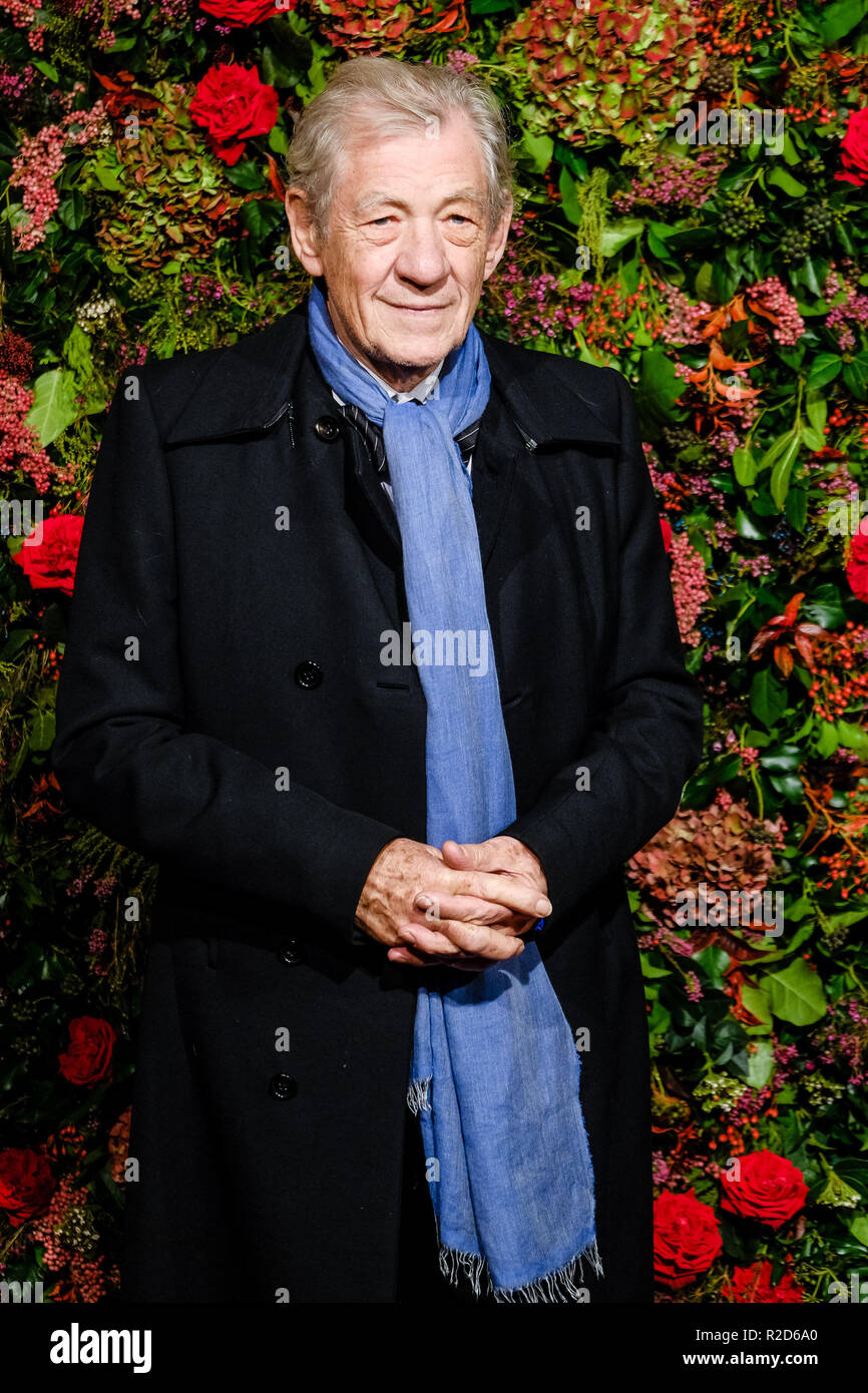 Londres, Royaume-Uni. 18 Nov, 2018. Sir Ian McKellen au 64ème Evening Standard Theatre Awards 2018 le dimanche 18 novembre 2018 tenue au Theatre Royal Drury Lane, London. Photo : Ian McKellen. Credit : Julie Edwards/Alamy Live News Banque D'Images