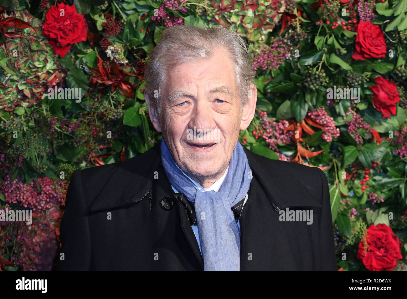 Londres, Royaume-Uni. 18 Nov, 2018. Ian McKellen, 64ème Evening Standard Theatre Awards, Theatre Royal Drury Lane, London UK, 18 novembre 2018, photo de Richard Goldschmidt Banque D'Images