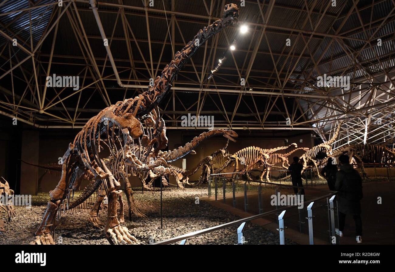 (181119) -- BEIJING, 19 novembre 2018 (Xinhua) -- Les touristes voir des fossiles de dinosaures au monde à Lufeng Dinosaur Valley County, au sud-ouest de la province chinoise du Yunnan, le 23 décembre 2017. Le monde Lufeng, un dinosaure Dinosaur Valley parc à thème, exposé plus de 100 fossiles d'une variété de dinosaures. La Chine devrait devenir le plus grand parc à thème du monde marché en 2020, lorsque le nombre de touristes devrait dépasser 230 millions de dollars, selon un nouveau rapport de la firme d'ingénierie américaine AECOM. Le nombre de touristes dans les parcs à thème chinois ont connu une croissance annuelle moyenne de 13 pour cent dans la dernière décennie, et rea Banque D'Images