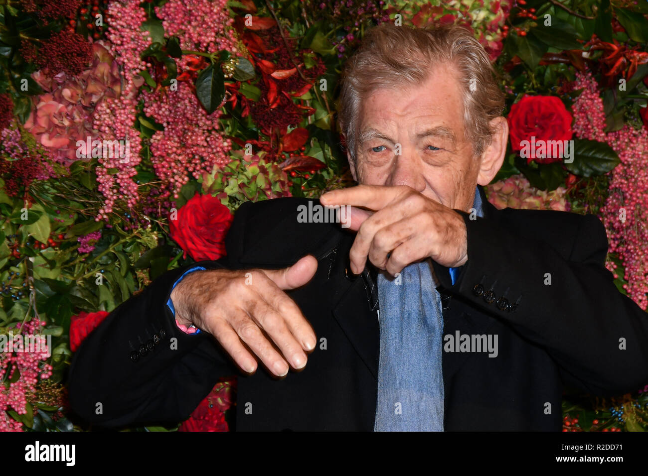 Londres, Royaume-Uni. 18 novembre, 2018. Sir Ian Mckellen assiste à la 64e Evening Standard Theatre Awards au Théâtre Royal, le 18 novembre 2018, Londres, Royaume-Uni. Credit Photo : Alamy/Capital Live News Banque D'Images