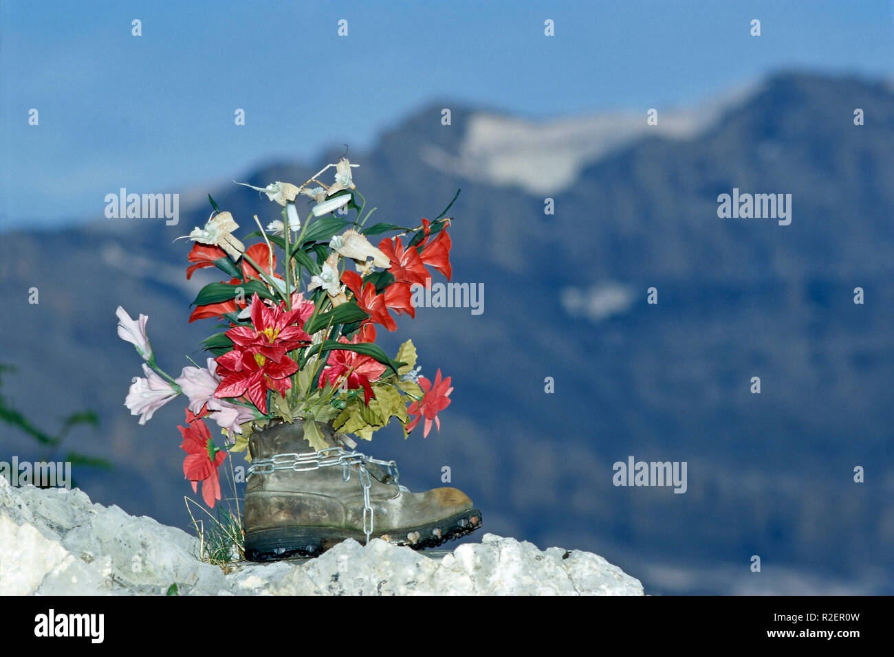 Chaussures de montagne avec des fleurs en face de la montagne Banque D'Images
