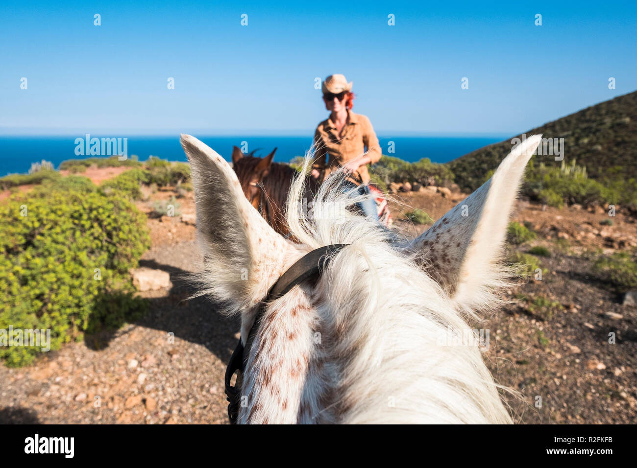 Femme fait l amour par un cheval Banque de photographies et d’images à