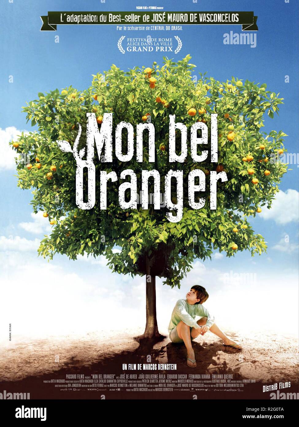 Meu Pe De Laranja Lima Mon Sweet Orange Tree Annee 13 Realisateur Bresil Marcos Bernstein Affiche De Film Fr Photo Stock Alamy