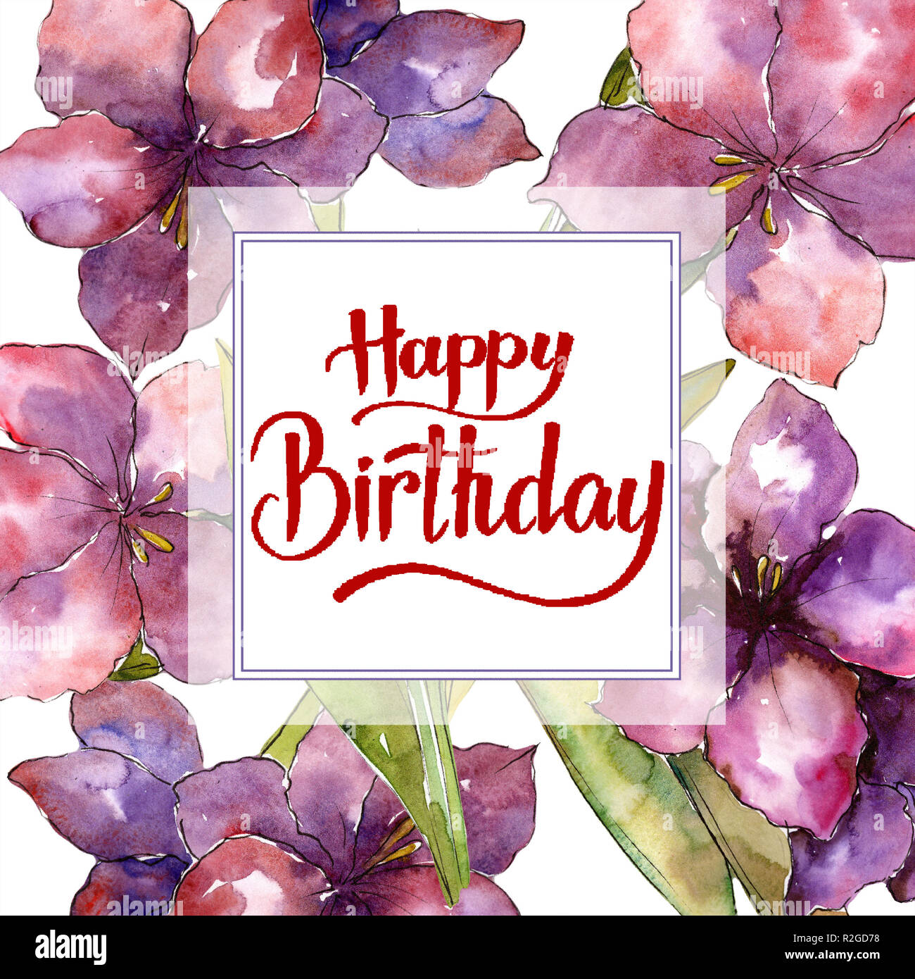 Amaryllis Pourpre Fleur Joyeux Anniversaire Calligraphie Ecriture Monogram Aquarelle Cadre Ou Une Bordure Carre Ornement Photo Stock Alamy