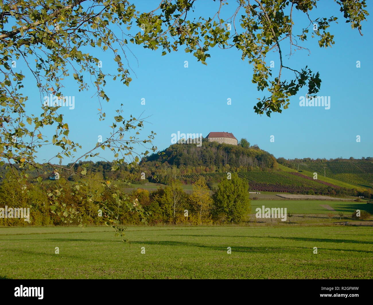 Vignes 2 Banque D'Images