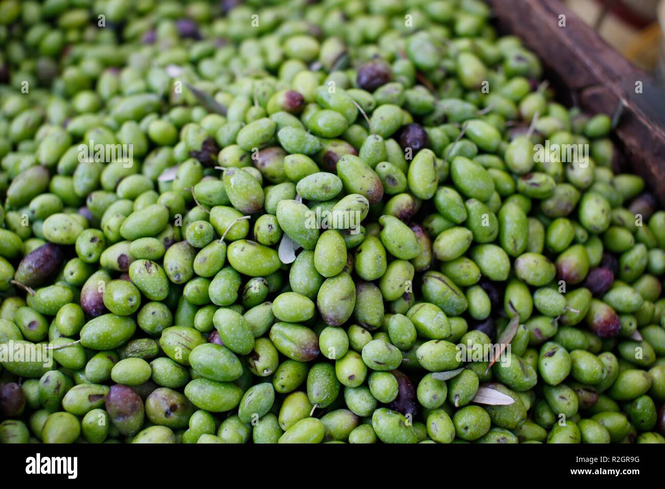 Close up de petites olives vertes pour la vente au marché méditerranéen Banque D'Images