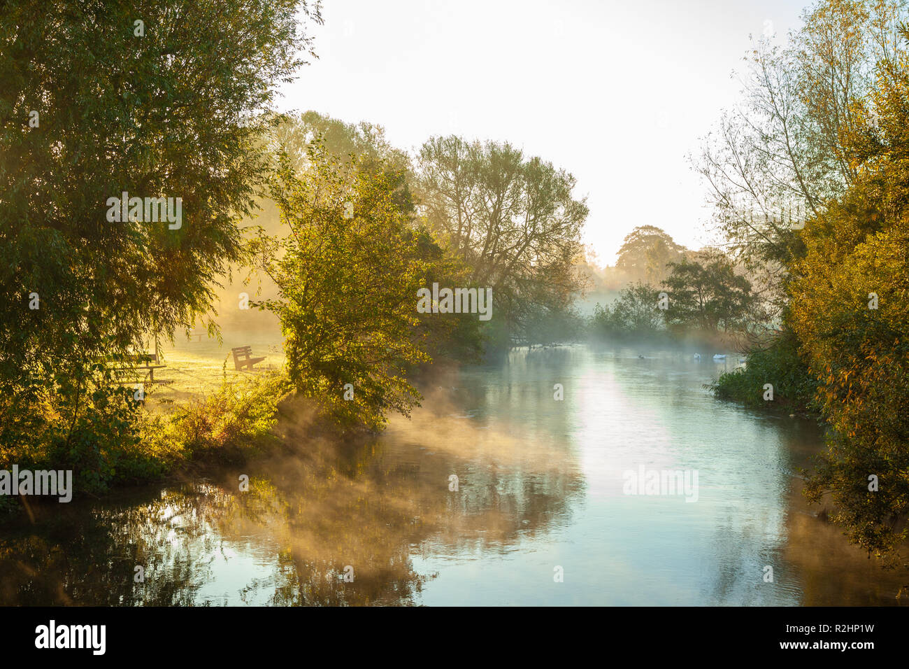 Un matin brumeux sur la rivière Avon, dans le Wiltshire Salisbury Jardins Elizabeth. Banque D'Images