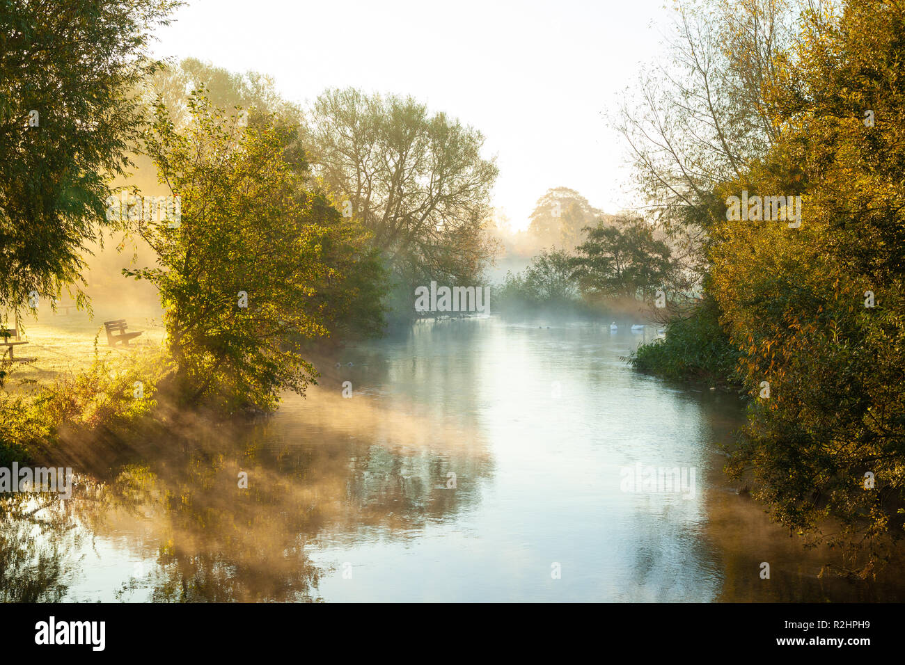 Un matin brumeux sur la rivière Avon, dans le Wiltshire Salisbury Jardins Elizabeth. Banque D'Images